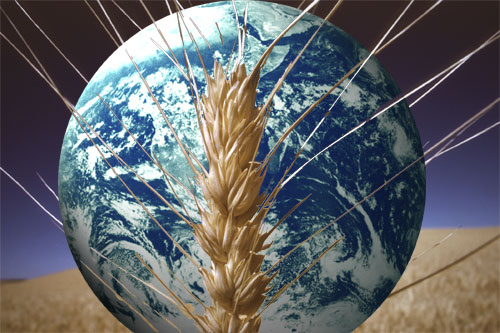 Food security